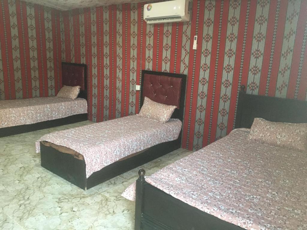 Oryx Camp Hotel Wadi Rum Esterno foto